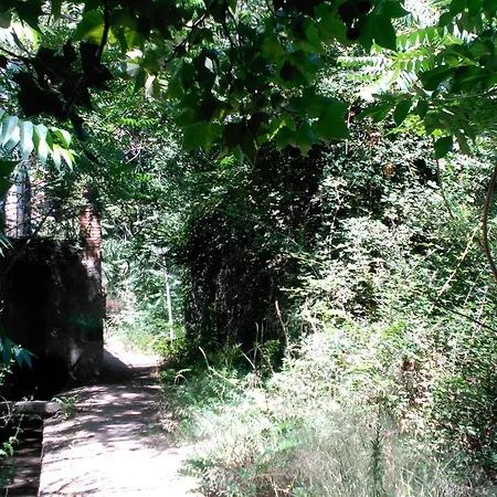 Country house La Casita Del Rio